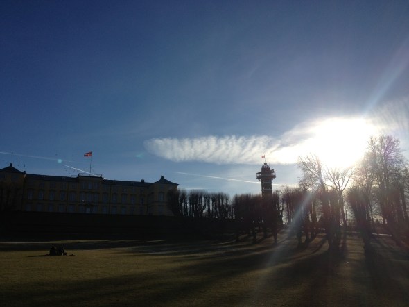 Two Dannebrogs in Frederiksberg